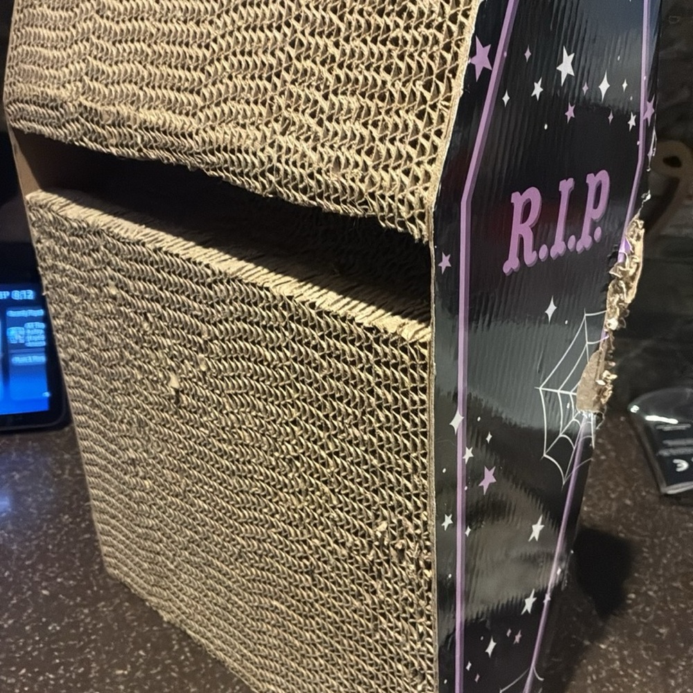 Halloween Cat Scratcher with RIP Design 😻🐾🐾